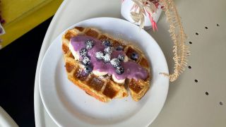 Puffle Bees (Foto: rbb 88.8/Jaele Vanuls)