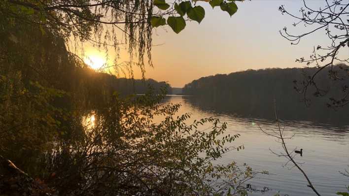 Die Sonne geht über dem Schlachtensee unter (Foto: rbb 88.8) Die Sonne geht über dem Schlachtensee unter (Foto: rbb 88.8)
