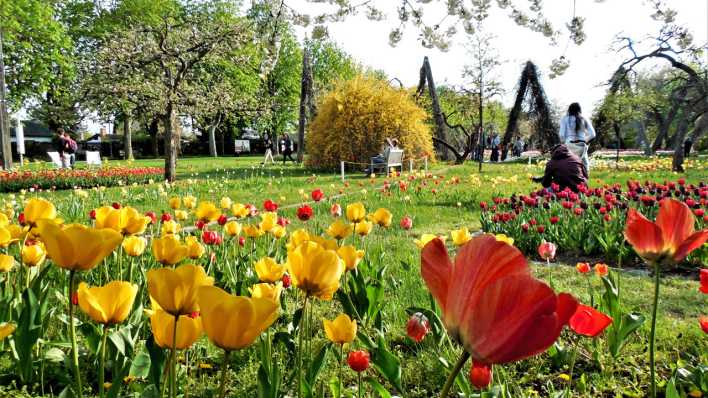 Frühling im Britzer Garten