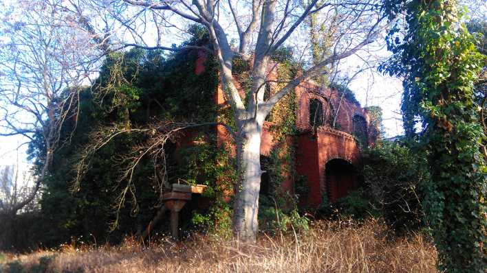 Bauzombie Kriegsruine Beymestraße; rote Backsteinruine mit Efeu an den Mauern; Foto: Matthias Bartsch/radioBERLIN 88,8