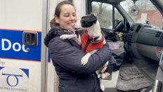 Hundedoc Bild: rbb 88.8 Hundedoc Bild: rbb 88.8