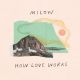 MILOW – How Love Works (Quelle: Homerun Records) MILOW – How Love Works (Quelle: Homerun Records)