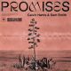 Cover CALVIN HARRIS - Promises (Quelle: COLUMBIA) Cover CALVIN HARRIS - Promises (Quelle: COLUMBIA)