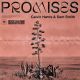 Cover CALVIN HARRIS - Promises (Quelle: COLUMBIA)